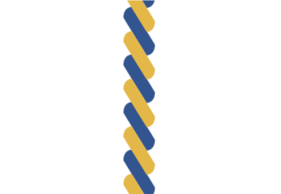 10er Pack Kordeln / Länge ca. 400 mm - Blau / Gelb / 3x400 mm