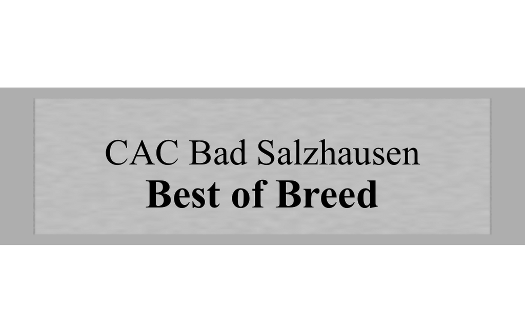 Gravurschild Silber selbstklebend - Silber / 50 x 15 mm