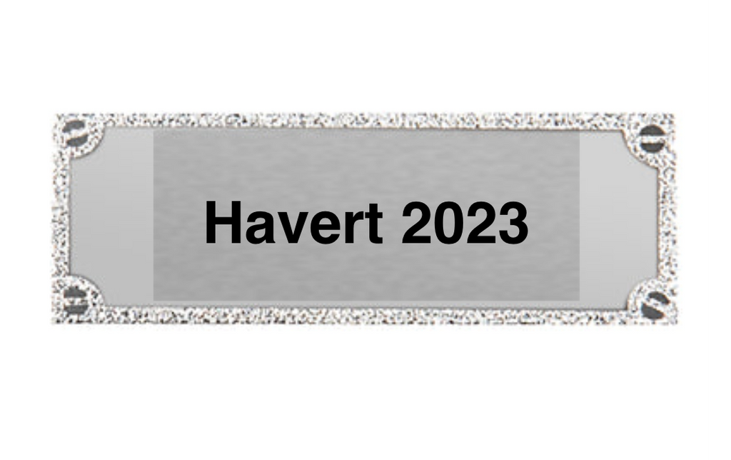 Gravurschild edel in Silber - Silber / 62 x 25 mm