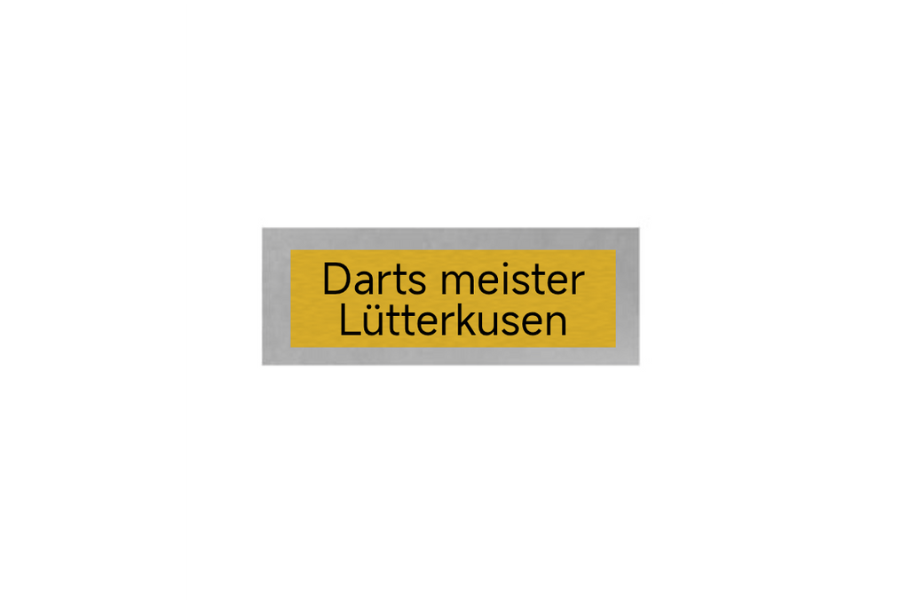 Dart Pokal FG4121 - 19.5 cm / Silber Mehrfarbig