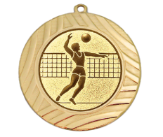 Medaille BS.MI7001 Ø 70mm - Gold / 70 mm