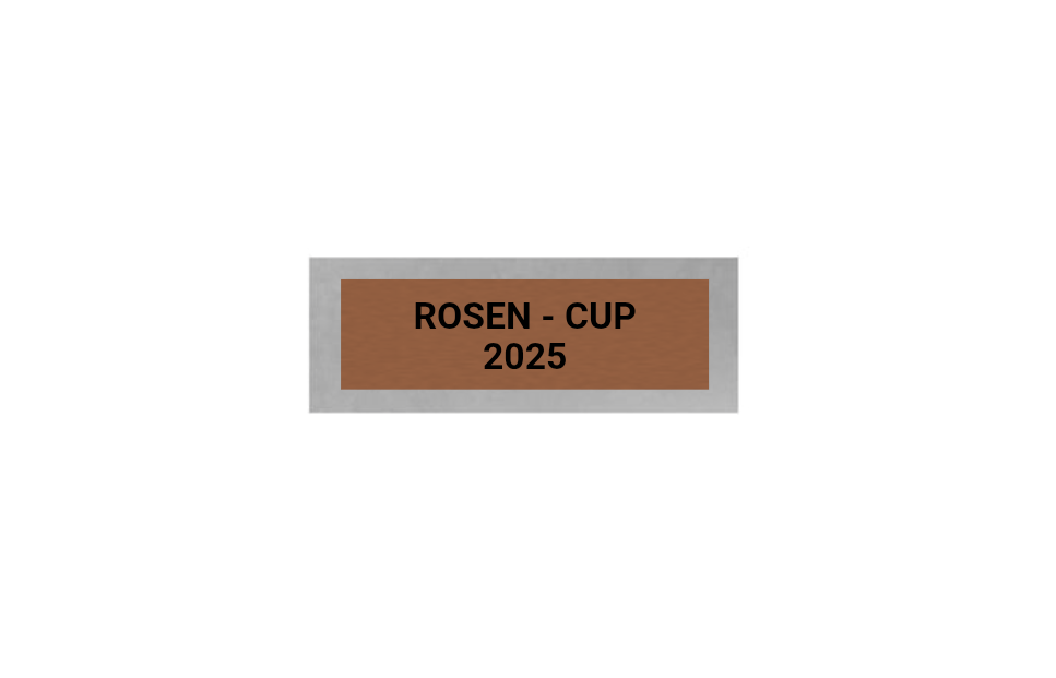 Dart Pokal PFS_009 - 19.5 cm / Silber Mehrfarbig