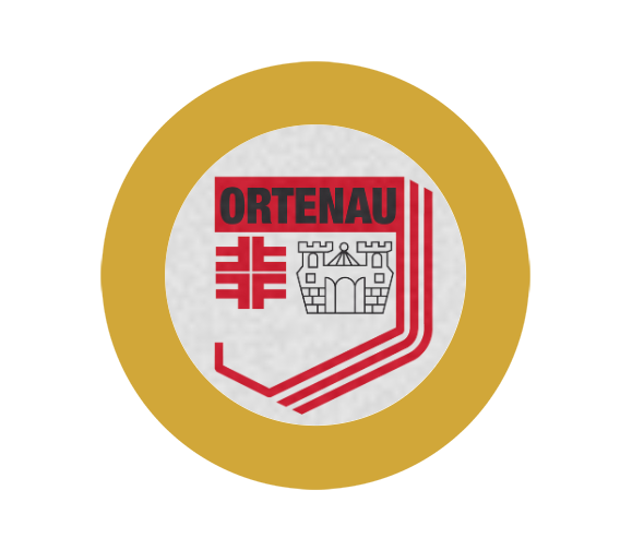 Aluminium-Emblem - 50 mm / Gold/Alu