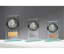 Glas Pokal Judo FG004 - Transparent Schwarz / 15 cm