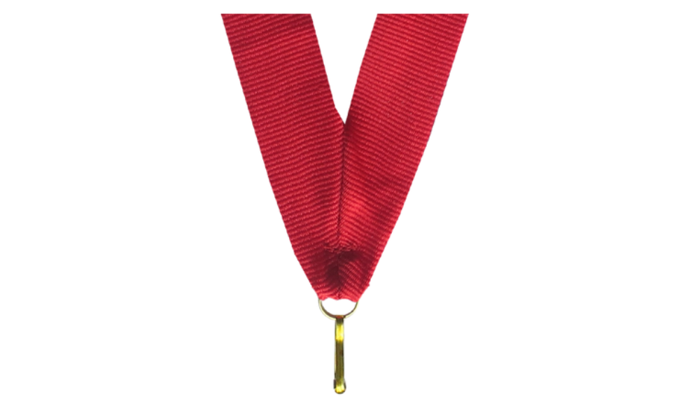 100er Pack Bänder Breite 22 mm / Länge ca. 400 mm - Rot / 22x400mm