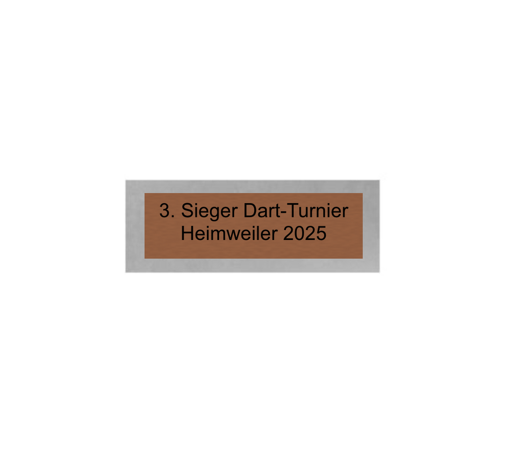 Dart Pokal PFS_009 - 19.5 cm / Silber Mehrfarbig