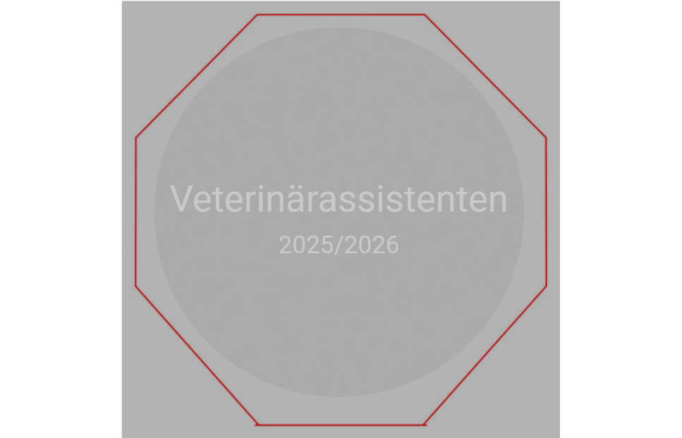 Glasmedaille GM67 Ø 75mm - Klar / 75 x 75mm / Lasergravur