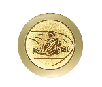 Kart Trophäe FG 303 - Gold Schwarz / 14 cm