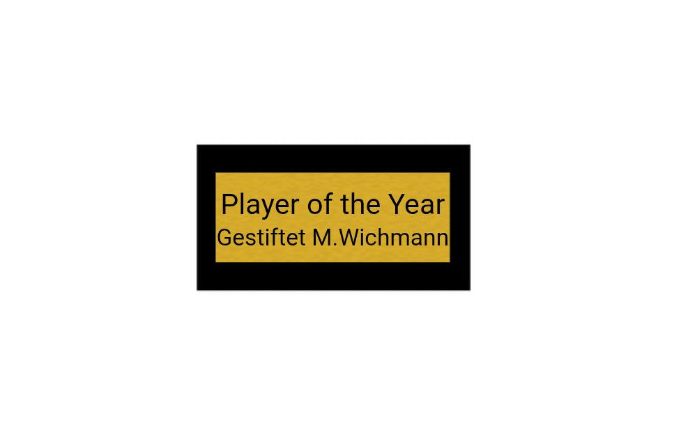 Exklusiver Pokal X32.04 - B-Ware - Silber Blau / 33,5 cm