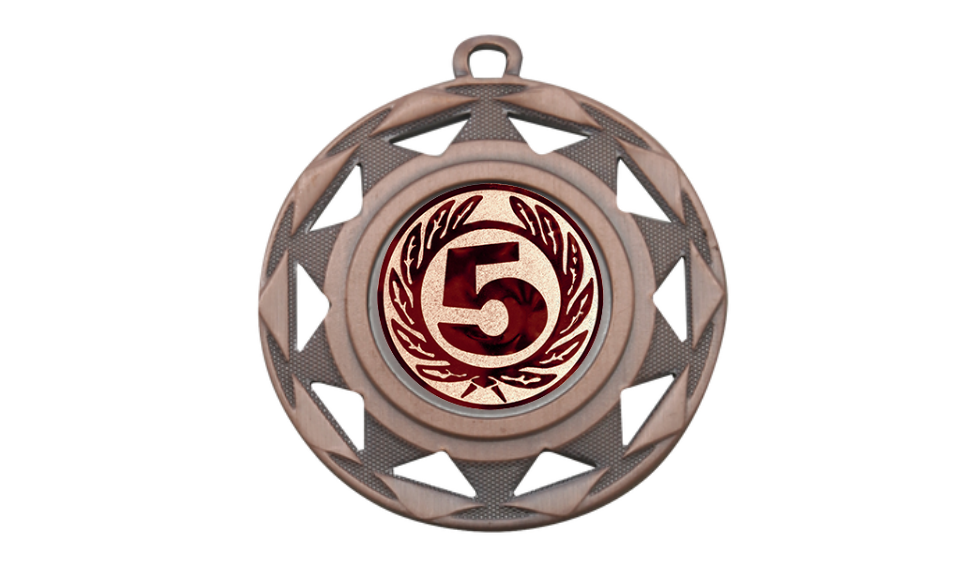 Medaille BS.ME94 Ø 50 mm - Bronze / 50 mm