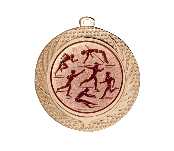 Medaille BS.ME76 Ø 70 mm - Bronze / 70 mm