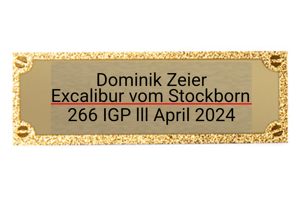 Gravurschild edel in Gold - Gold / 50 x 18 mm