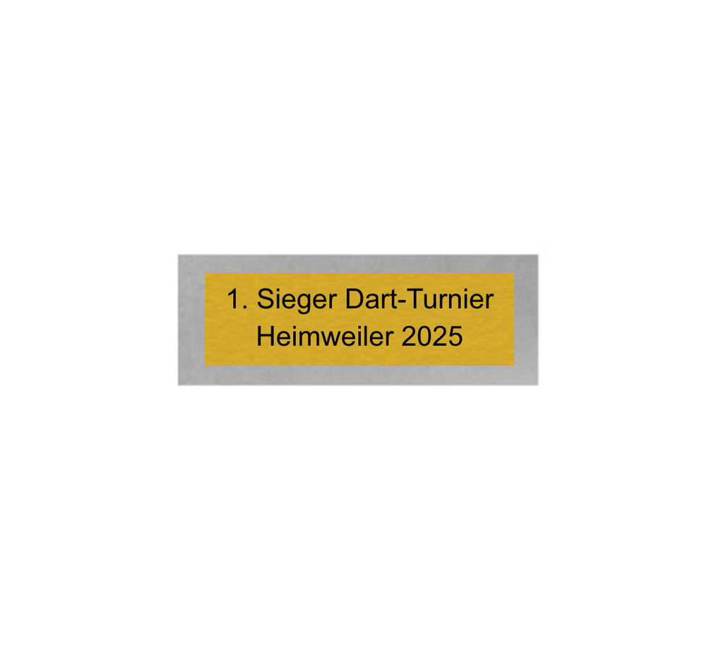 Dart Pokal PFS_009 - 19.5 cm / Silber Mehrfarbig