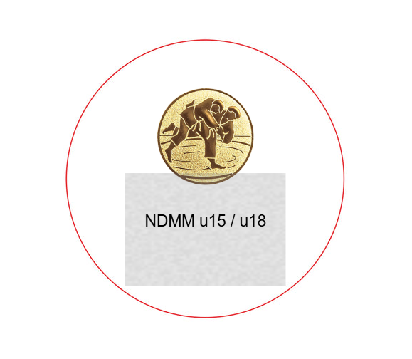 Holzmedaille aus Birke MN70 - Birke natur / 60/70mm / Laser-Gravur