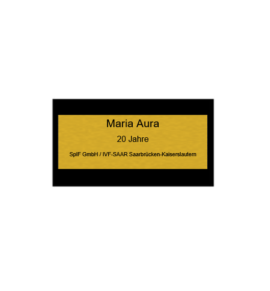 Hollywood Classic Award in Gold - Gold / 18 cm