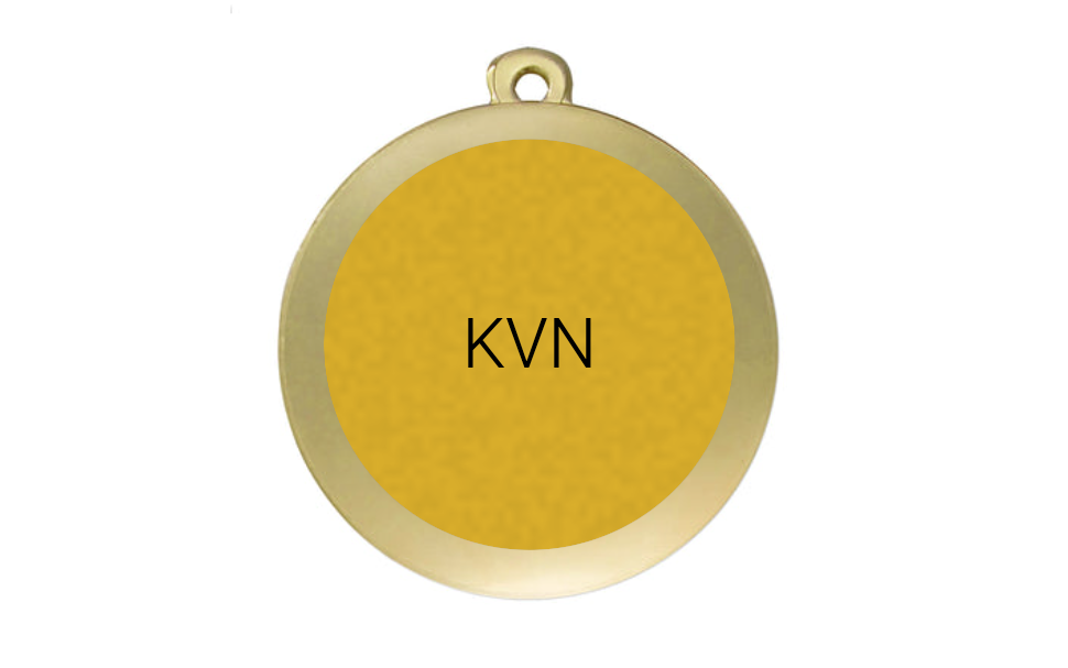 Karneval Medaille D120 Ø 50mm - Gold / 50mm
