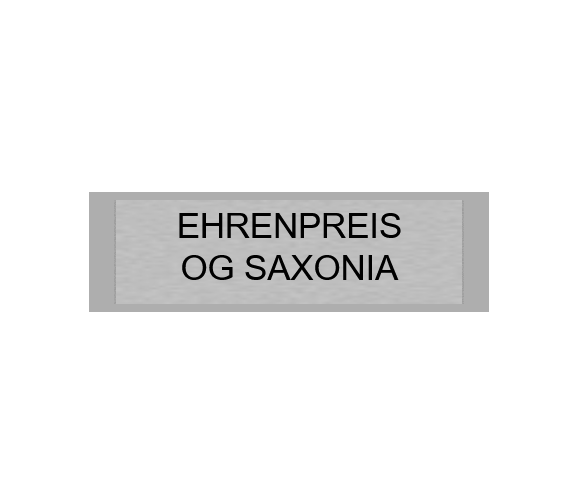 Gravurschild Silber selbstklebend - Silber / 50 x 15 mm