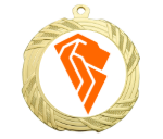 Medaille BS.ME95 Ø 70 mm - Gold / 70 mm