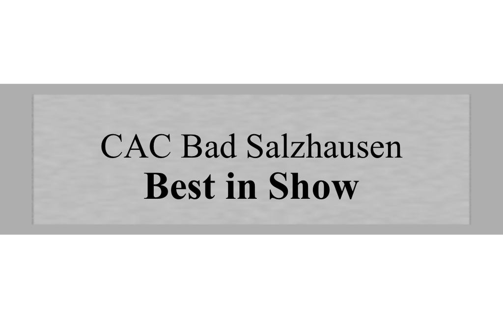 Gravurschild Silber selbstklebend - Silber / 50 x 15 mm