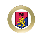 Fußball Fairplay Pokal 52534 - 15 cm / Bronze Gold