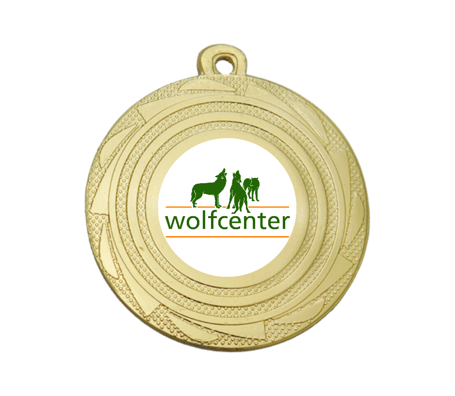 Medaille BS.ME100 Ø 45 mm - Gold / 45 mm