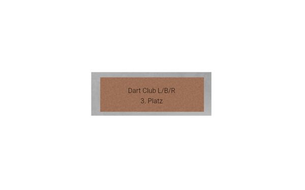 Dart Pokal FG4121 - 17 cm / Silber Mehrfarbig