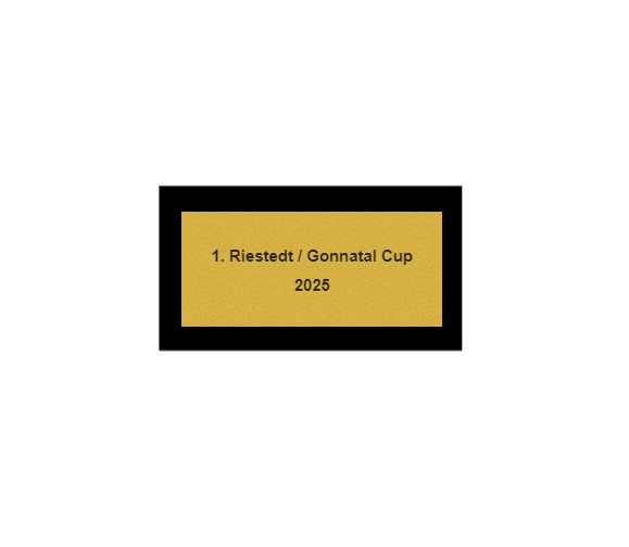 Fußball Pokal 9061 - 18 cm / Gold