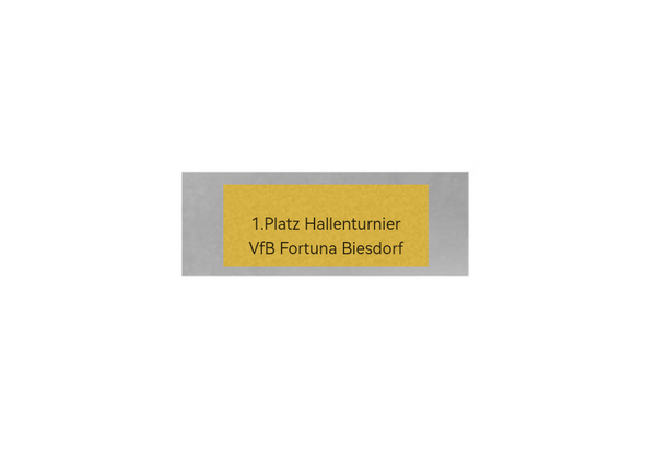 Fußball Pokal FG401 - Silber Mehrfarbig / 27 cm