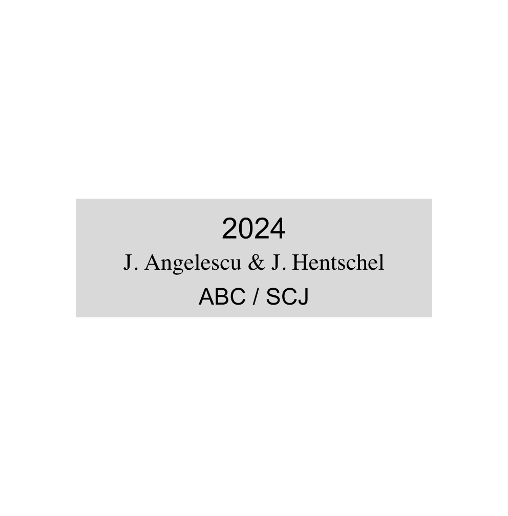 Gravurschild Silber selbstklebend - Silber / 60 x 20 mm