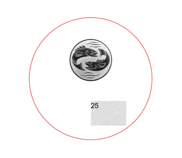Holzmedaille aus Birke MN70 - Birke natur / 60/70mm / Laser-Gravur