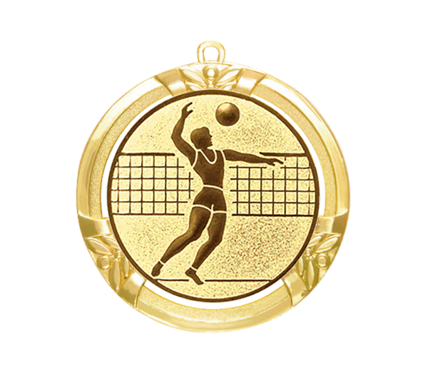 Medaille BS.ME18 Ø 70 mm - Gold / 70 mm