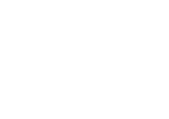 Karnevals Medaille D54-S - Silber / 50x56x2mm