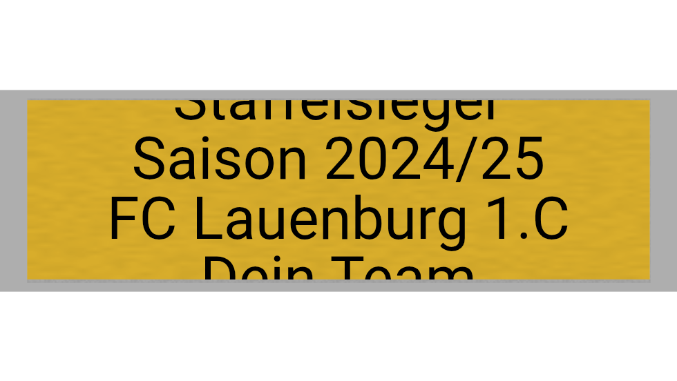 Pokal Serie 120 - 33 cm / Silber/Gold