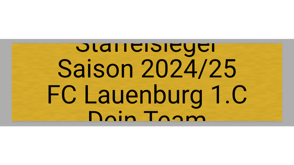 Pokal Serie 120 - 33 cm / Silber/Gold