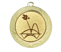 Medaille BS.ME76 Ø 70 mm - Gold / 70 mm