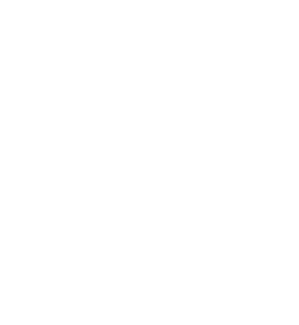 Karnevalsorden F086 - Gold / 45 mm