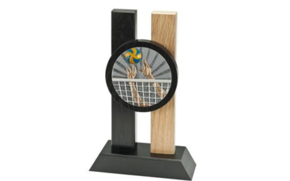 Holz Pokal Volleyball FG007 - 19 cm / Braun