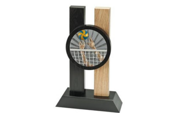 Holz Pokal Volleyball FG007 - 19 cm / Braun