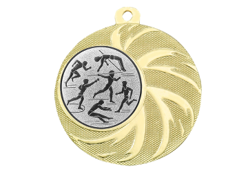 Medaille BS.ME93 Ø 45mm - Gold / 45 mm