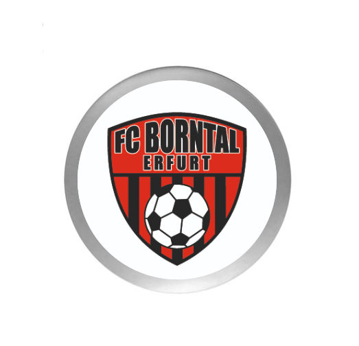 Fußball Pokal  3947x - Silber Gold / 20 cm