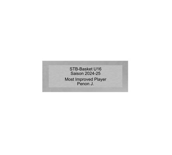 Basketball Pokal PFS_010 - Silber Mehrfarbig / 19.5 cm