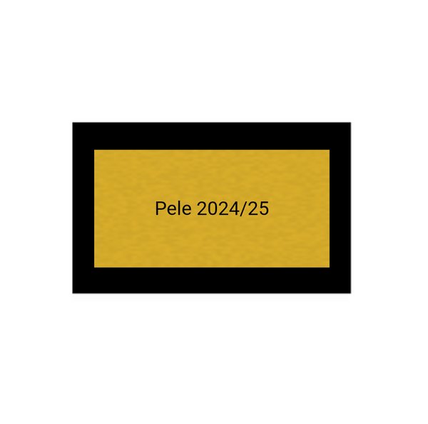 Fußball Pokal 85-3 teilweise begrenzt! - Silber Gold / 28 cm