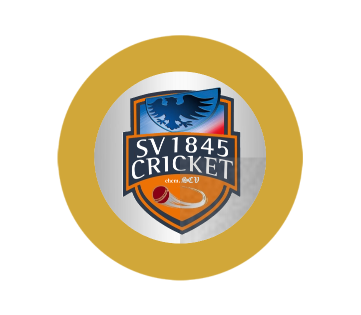 Aluminium-Emblem - 50 mm / Gold/Alu