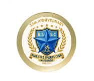 Fußball Trophäe 3963 - Bronze Gold / 27 cm