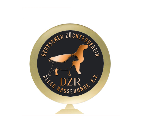 Pokal Serie 346 - Gold/Silber / 45 cm