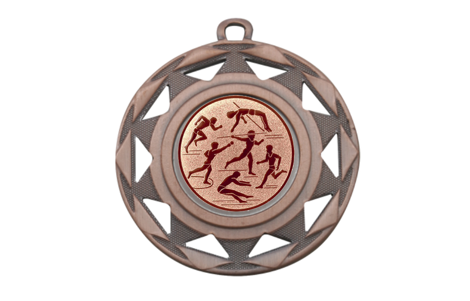 Medaille BS.ME94 Ø 50 mm - Bronze / 50 mm