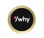 Kart Trophäe FG 303 - Gold Schwarz / 14 cm