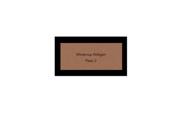 Fußball Pokal 9061 - 18 cm / Silber