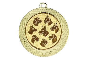 Medaille BS.ME76 Ø 70 mm - Gold / 70 mm