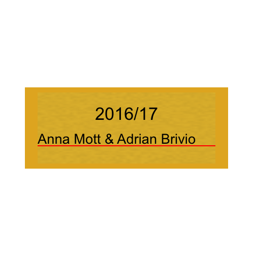 Gravurschild Gold selbstklebend - Gold / 50 x 20 mm